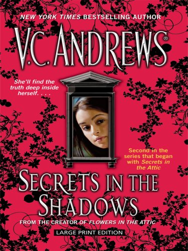Secrets in the Shadows (Thorndike Core)