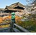 Kyoto City of Zen: Visiting the Heritage Sites of Japan's Ancient Capital