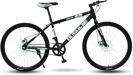 single speed disc wheel