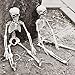 3PCs Halloween Skeleton 16 inch with Movable Joints for Halloween Party Favors，Halloween Decorations