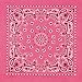 Pink Bandana