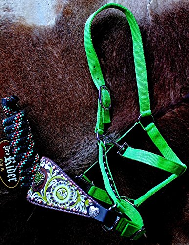 PRORIDER Equine Noseband Tack Bronc Leather Horse Halter Tiedown Lead Rope Green 280706