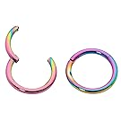Stainless Steel 5/16" (8mm) 18G (Thin) Hinged Continuous Segment Ring Hoop Sleeper Earrings Body Piercing (Rainbow)