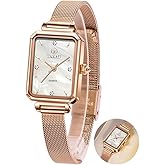 Taxau Women's Square Watch Mesh Bracelet Stainless Steel Rectangular Dress Watches for Women Fashion Business Analog Quartz Ladies Small Wrist Watch