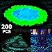 Boomile 200Pack Glow in the Dark Garden Pebbles for Walkways/ Outdoor Decor/ Aquarium/ Fish Tank, Outdoor Garden Decorative Stones in Blue & Green ATSC-520