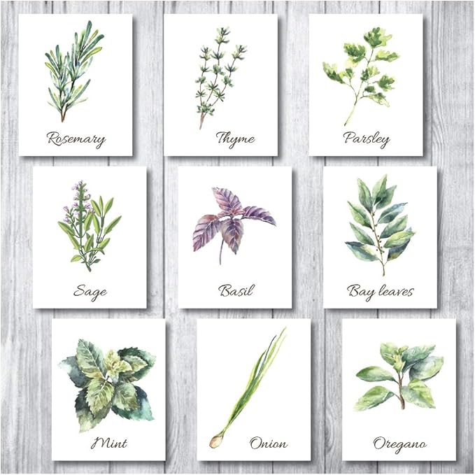 Botanical Prints Wall Decor Kitchen Art Herbs Leaves Set