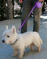 Taglory Retractable Dog Lead 5 m Purple, Anti-Tangle 360° No-Tangle Leash view 7