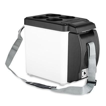  Portable Personal Fridgefood Warmer6l Capacity