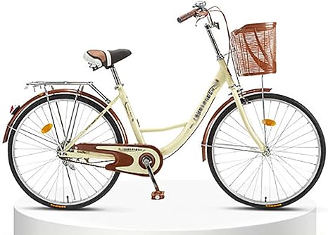 cruiser bike rear rack