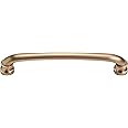Atlas Homewares 351-CM Shelley Pull, Champagne