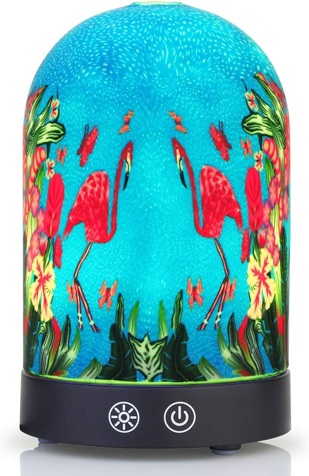 Umidificatori da 2 galloni