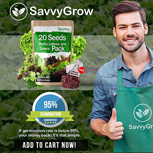 SavvyGrow Herb Lettuce Green Seeds Combo 20 Variety 4000+ Heirloom