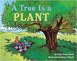 Plant a tree write a book bear a child 07 picture