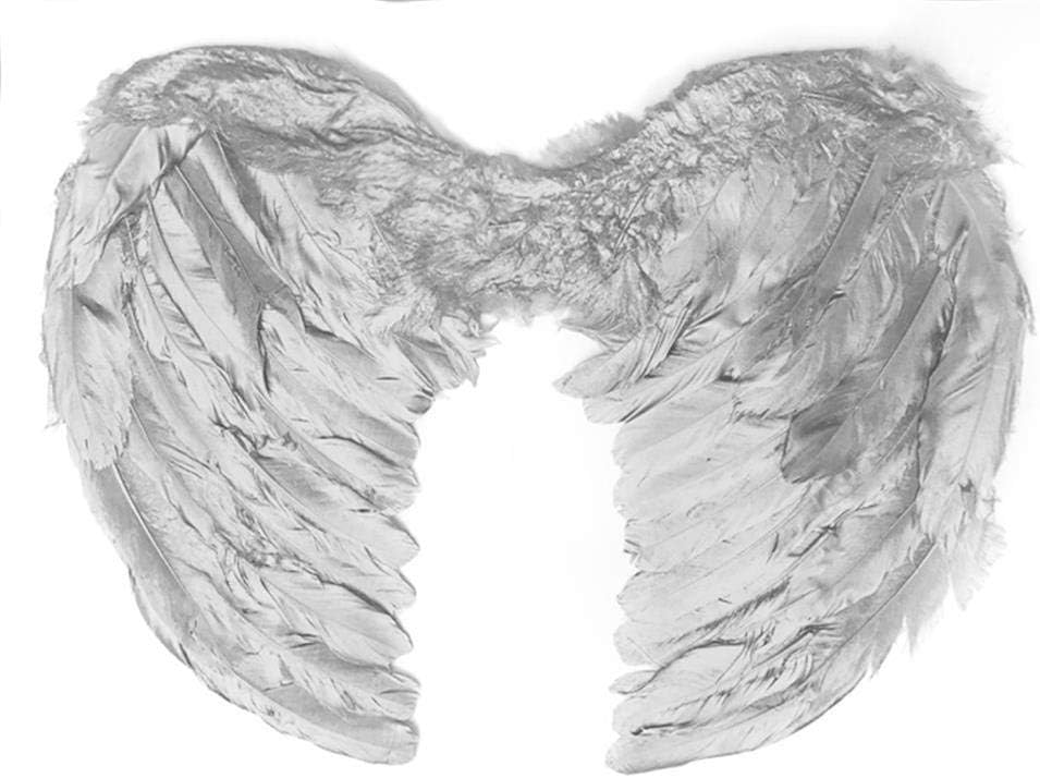 Classic Dog Cat Angels & Demons Wings Pet Dog Cat Costume Accessory Real Feather Wings