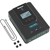 Renogy Rover 30A 12V/24V Auto DC Input MPPT Solar Charge Controller Parameter Adjustable LCD Display Solar Panel Regulator fit for Gel Sealed Flooded and Lithium Battery, Rover 30A,Black