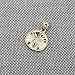 Beauniq 14k Yellow Gold Sand Dollar Pendant
