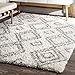 nuLOOM OZSG18A Shag Rug, 4' X 6', White