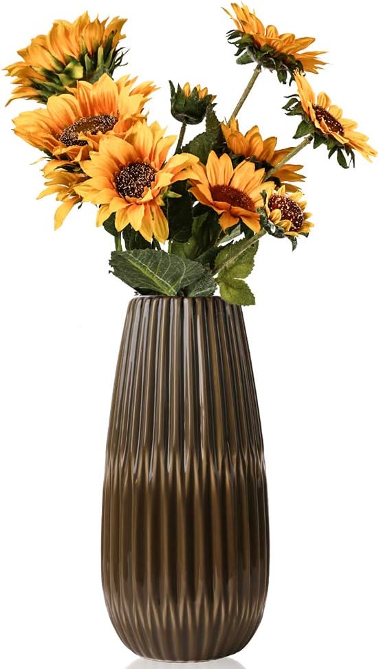 colegio oficial de enfermeria de las palmas