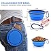 tobeDRI Heavy Duty Dog Leash - Comfortable Padded Handle, 6 ft Long - Dog Training Walking Leashes for Medium Large Dogs with A Free Collapsible Pet Bowl