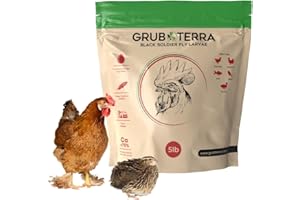 GrubTerra Golden Dried Black Soldier Fly Larvae - Premium Supplement to Increase Egg Production for Hen Treats, Bird Feed, Chicken Feeder, Pet Bird Food, and Wildbird Feed, Never from China! (5lb)