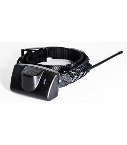 Amazon.com: DE Systems Dog Expedition Border Patrol TC1 GPS System