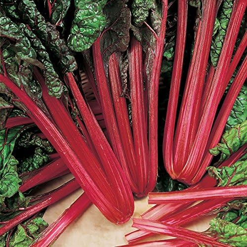 Suffolk Herbs - Organic Leaf Beet Rhubarb Chard - 175 Seeds
