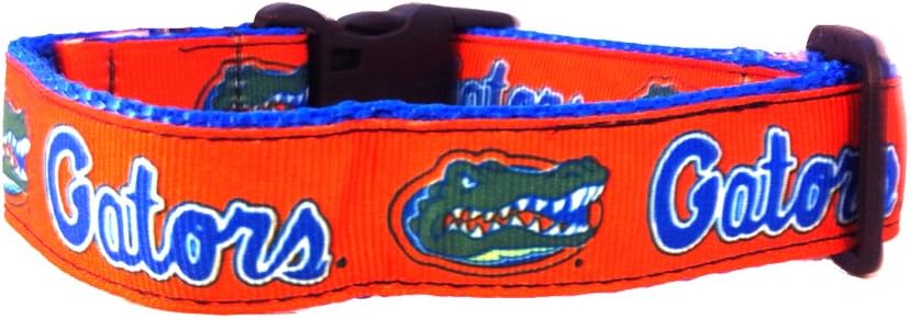 florida gators dog collar