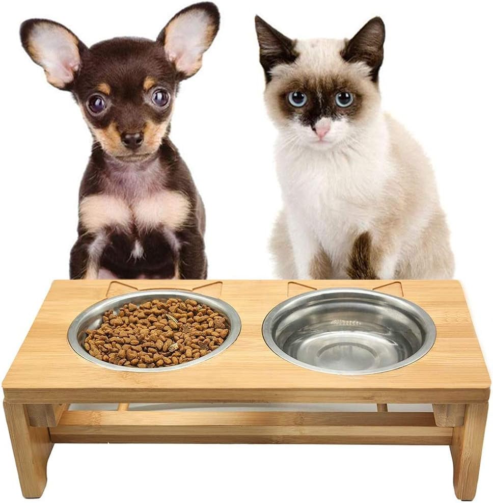 raised dog bowls for small dogs