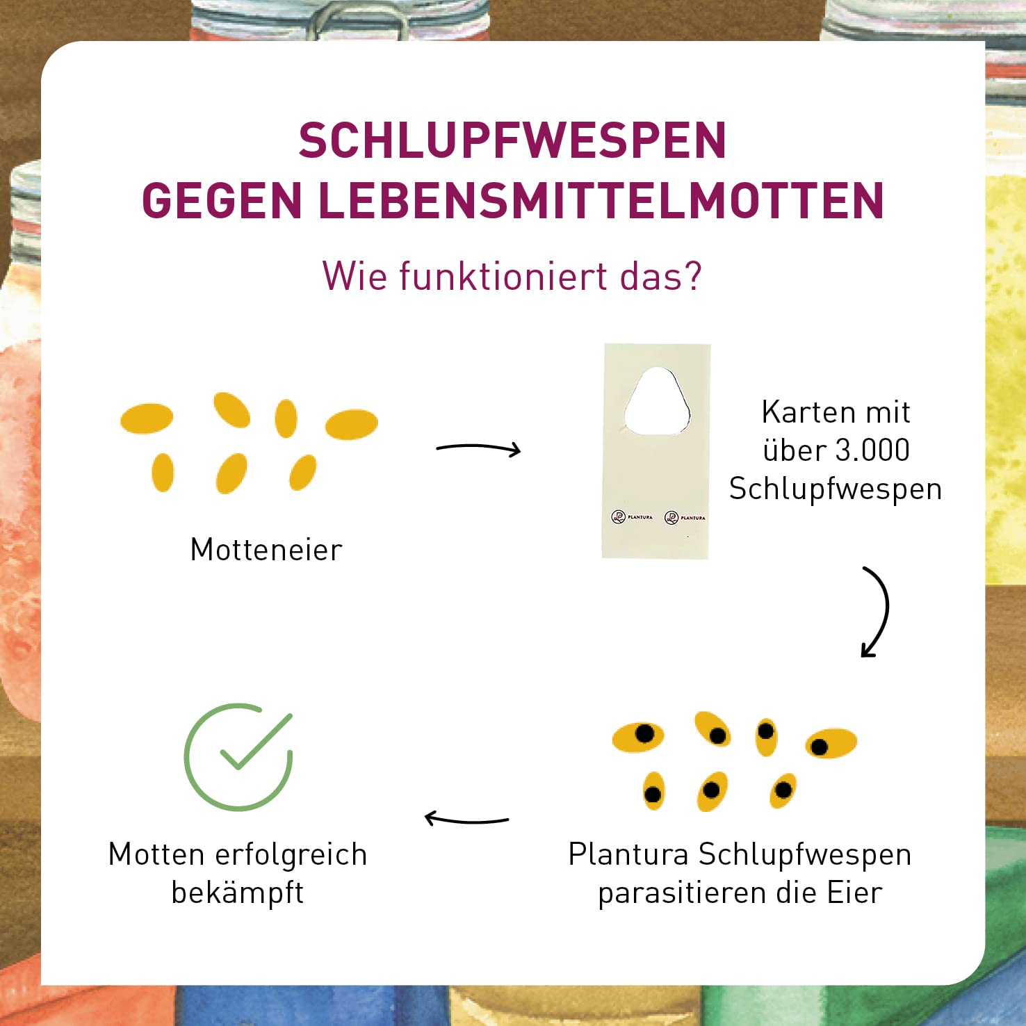 Plantura Schlupfwespen gegen Lebensmittelmotten, 9 Karten 3