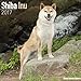 Shiba Inu Calendar 2017 - Dog Breed Calendars - 2016 - 2017 wall calendars - 16 Month by Avonside