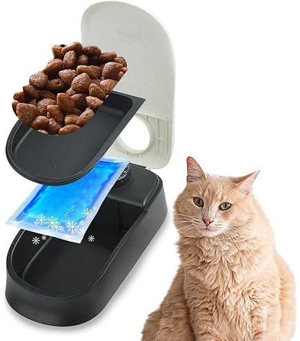 Amazon Automatic Cat Feeder Wet Food Amazon Basics Cat Water