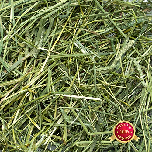Rabbit Hole Hay Ultra Premium, Hand Packed Coarse Timothy Hay for Your
