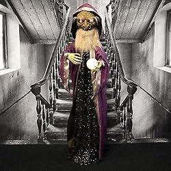 Haunted Hill Farm Animatronic Talking Wizard with