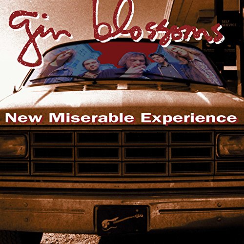 Album art for New Miserable Experience by Gin Blossoms