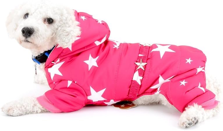 chihuahua clothes amazon