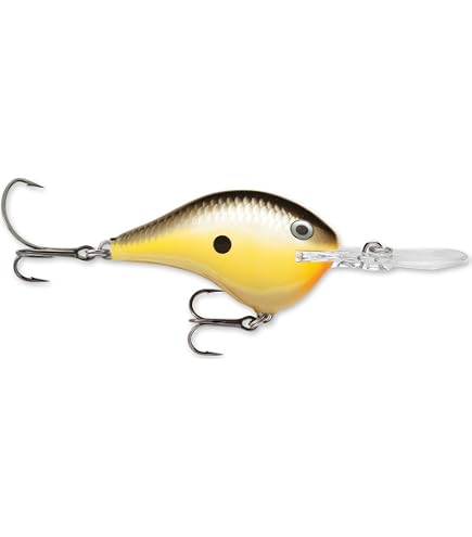 amazon rapala fishing lures Super Shad Rap SSR14 Team Rhino Outdoors LLC minnow action at any speed of retrieve Rapala Ultra Lite Lure Kit
