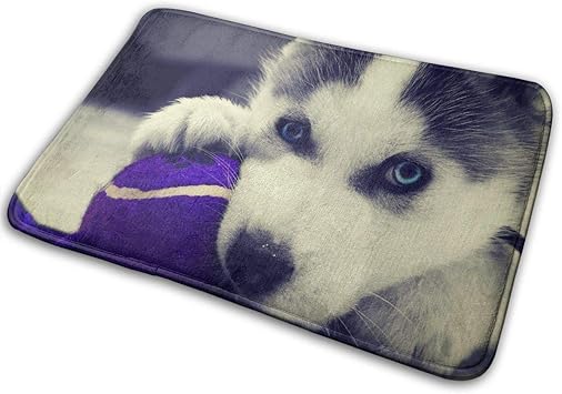 Amazon.de: N\A Mode Fußmatte niedlichen Welpen Husky Muster Eingang
