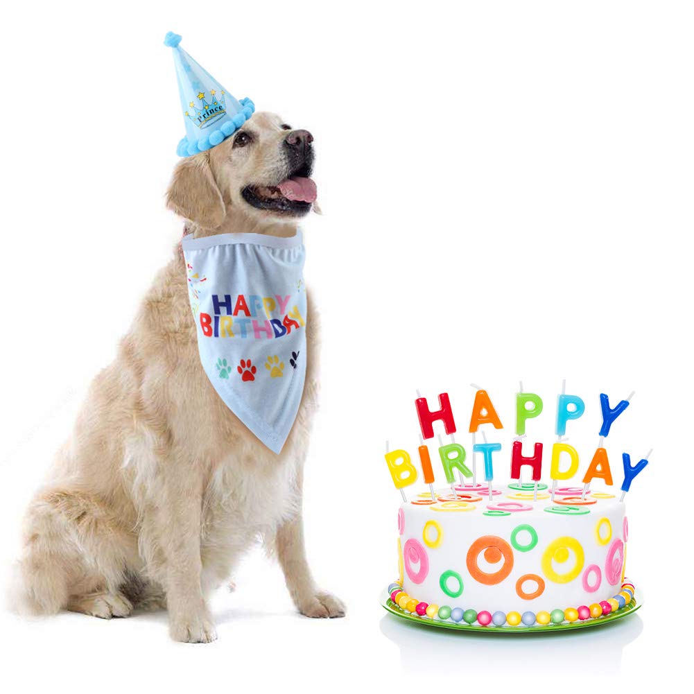 Minishark Dog Birthday Bandana Scarfs with Cute Doggie Party Hat (Blue)