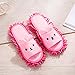 Selric Bear Super Chenille Microfiber Washable Mop Slippers Shoes for Women, Floor Dust Dirt Hair Cleaner, Multi-sizes Multi-Colors Available 9 7/9 Inches Size:5.5-8.5.
