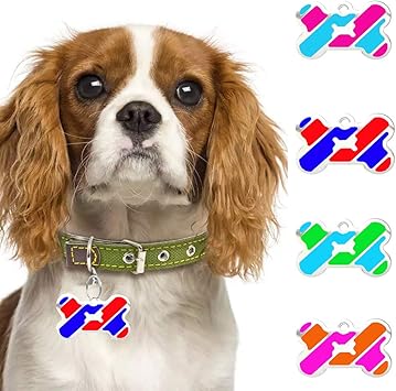 Bromrefulgenc étiquette De Nom Pour Animal De Compagnie En