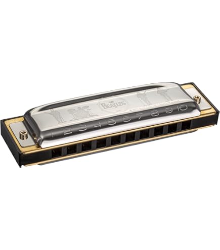 Amazon.com: Hohner Golden Melody Progressive Harmonica, Key