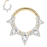 PEAKLINK 316L Surgical Steel Septum Ring Daith Earring 16G Rook Tragus Helix Conch Piercing Jewelry Cartilage Hoop Earring 8mm 10mm for Women Men