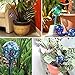 KINGLAKE Self Watering Globes,4 Pcs Automatic Plant Watering Bulbs for Outdoor Indoor Garden 7.9” Long x 3” Diameter