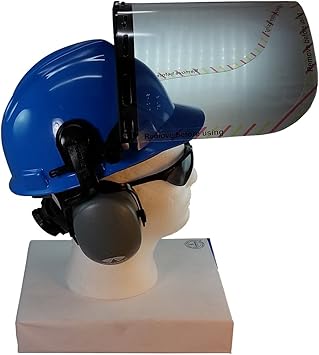 msa hard hat face shield