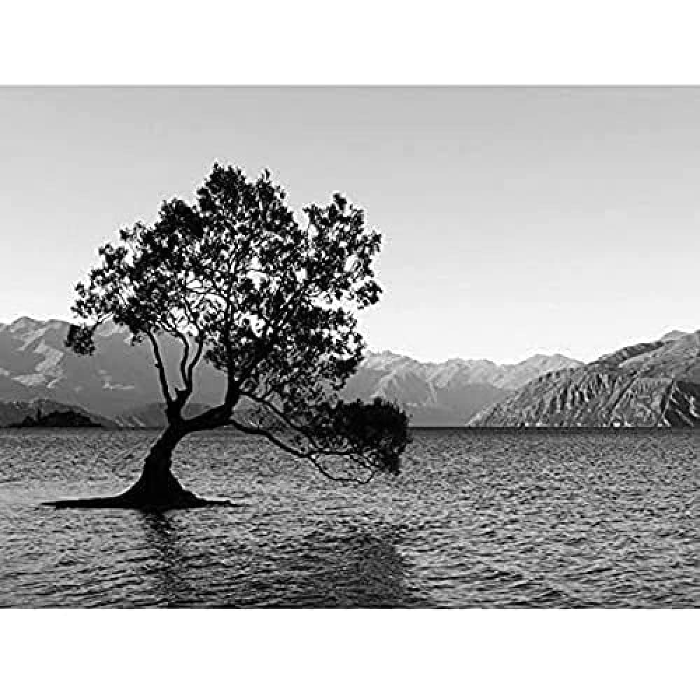 The Lone Tree Lake Wanaka Art Print Canvas Premium Wall Decor Poster