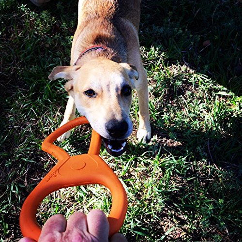 SodaPup: Tug War Dog Toys shaped like a Can Opener + Tough Dog Toys for Large Dogs, USA Made - Orange