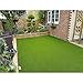 ALTRUISTIC Premium Artificial Grass Drainage Holes & Rubber Backing 70 oz Realistic Synthetic Grass Mat Extra-Heavy & Soft Pet Turf Fake Grass for Dogs or Outdoor Decor, 28in X 40in（7.7 Square ft）