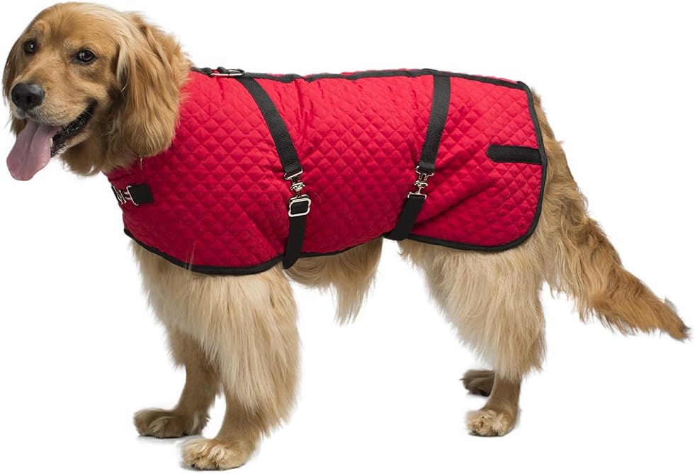Quilted horse blanket dog coat Clearance
