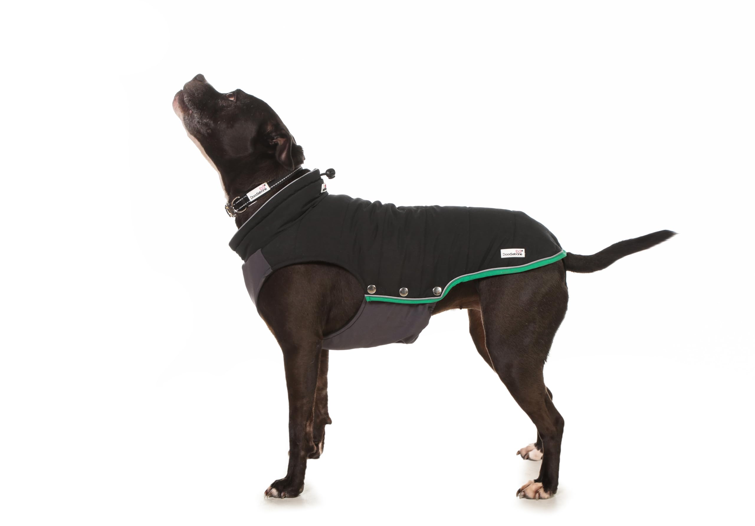 Doodlebone Dog Puffer Jacket (Coal, 5-7)