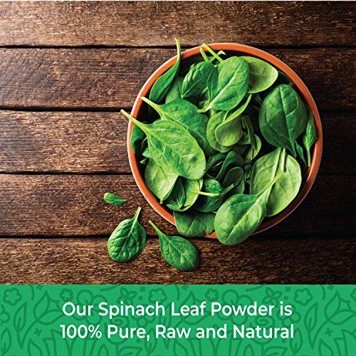 Spinach Powder, 16 oz. Dried Spinach Flour, Powder Spinach Extract, Dehydrated Spinach leaves